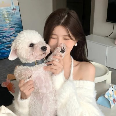 铁甲小宝